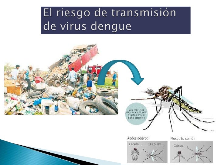 La basura y sus consecuencias