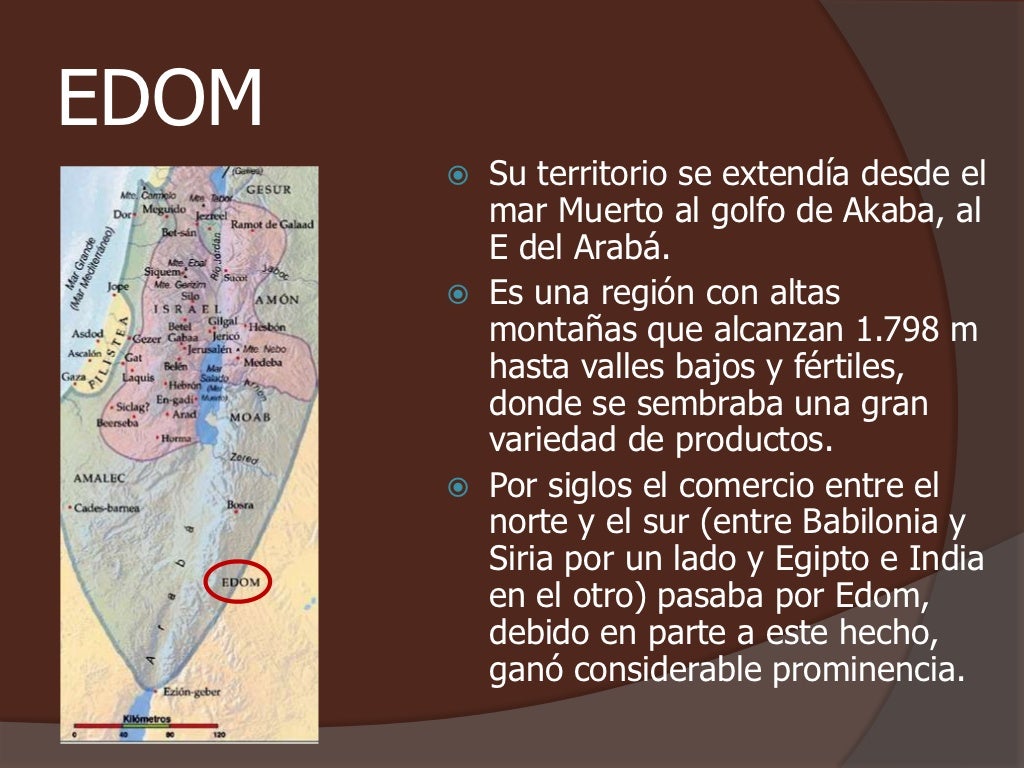 EDOM        Su territorio se extendía desde el         mar Muerto al golfo de Akaba, al         E del Arabá.        Es u...