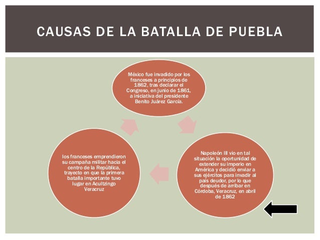 Causas De La Batalla De Puebla