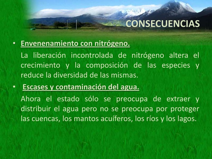 El régimen para el adelgazamiento para los pies