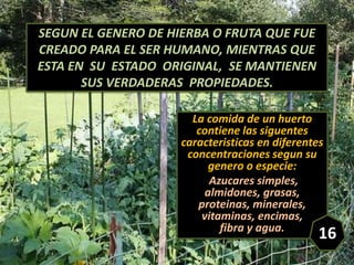 SEGUN EL GENERO DE HIERBA O FRUTA QUE FUE
CREADO PARA EL SER HUMANO, MIENTRAS QUE
ESTA EN SU ESTADO ORIGINAL, SE MANTIENEN...
