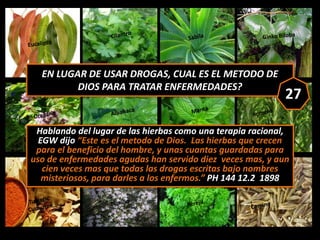 Hablando del lugar de las hierbas como una terapia racional,
EGW dijo “Este es el metodo de Dios. Las hierbas que crecen
p...