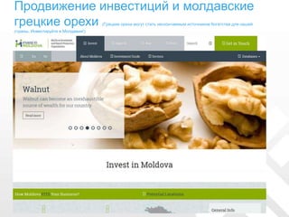 Продвижение инвестиций и молдавские
грецкие орехи (Грецкие орехи могут стать нескончаемым источником богатства для нашей
страны. Инвестируйте в Молдавии!)
 
