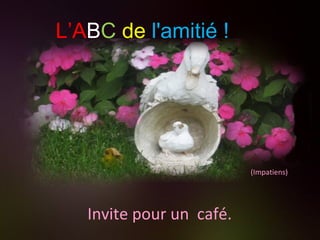 (Impatiens) Invite pour un  café. L’A B C   de   l'amitié ! 