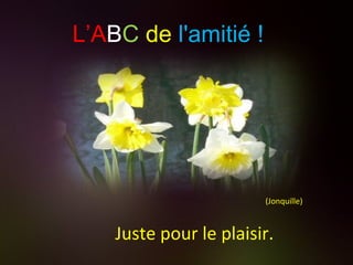 (Jonquille) Juste pour le plaisir. L’A B C   de   l'amitié ! 