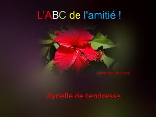 (Ketmie ou Hibicus) Kyrielle de tendresse. L’A B C   de   l'amitié ! 