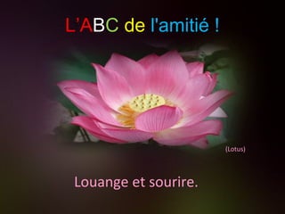 (Lotus) Louange et sourire. L’A B C   de   l'amitié ! 