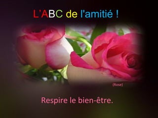 (Rose) Respire le bien-être. L’A B C   de   l'amitié ! 