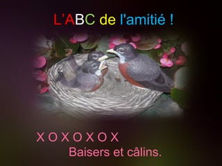 L’A B C   de   l'amitié ! X O X O X O X  Baisers et câlins.  