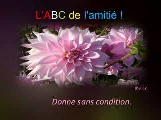 Donne sans condition. (Dahlia) L’A B C   de   l'amitié ! ! 
