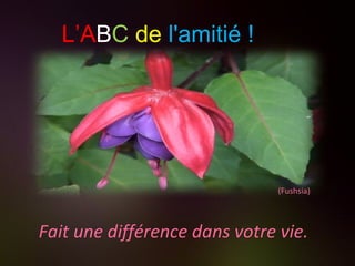 (Fushsia) Fait une différence dans votre vie. L’A B C   de   l'amitié ! 
