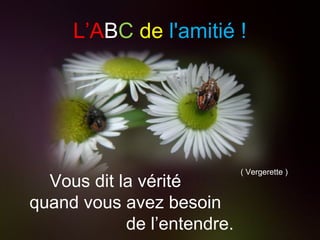 L’A B C   de   l'amitié ! ( Vergerette ) Vous dit la vérité  quand vous avez besoin  de l’entendre. 