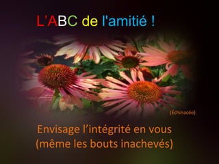 (Échinacée) Envisage l’intégrité en vous (même les bouts inachevés) L’A B C   de   l'amitié ! 