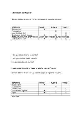 Lab cho enzimas vitaminas