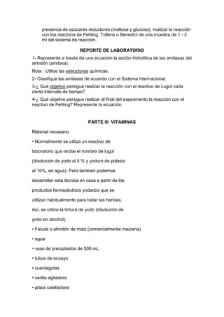 Lab cho enzimas vitaminas