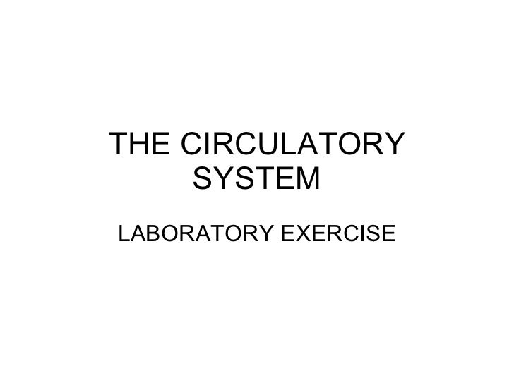 Lab circulatory system