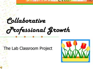 Collaborative Professional Growth The Lab Classroom Project  