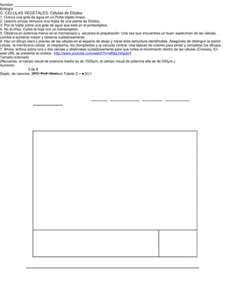 Nombre _____________________________
Biología
C. CÉLULAS VEGETALES: Células de Elodea
1. Coloca una gota de agua en un Porta objeto limpio.
2. Usando pinzas remueve una hojita de una planta de Elodea.
3. Pon la hojita sobre una gota de agua que está en el portaobjetos.
4. No la tiñas. Cubre la hoja con un cubreobjetos.
5. Observa en potencia menor en el microscopio y escanea la preparación. Una vez que encuentres un buen espécimen de las células,
cambia a aumento mayor y observa cuidadosamente.
6. Haz un dibujo claro y preciso de las células en el espacio de abajo y rotula toda estructura identificable. Asegúrate de distinguir la pared
celular, la membrana celular, el citoplasma, los cloroplastos y la vacuola central. Usa lápices de colores para pintar y completar tus dibujos.
7. Ahora, enfoca sobre una o dos células y obsérvalas cuidadosamente para que notes el movimiento dentro de las células (Ciclosis). En
este URL se presenta la ciclosis: http://www.youtube.com/watch?v=s89pLHApaeY
Tamaño estimado
(Recuerda, el campo visual de potencia media es de 1500µm, el campo visual de potencia alta es de 500µm.)
Aumento:
                   3 de 8
Depto. de ciencias, SFC. Prof. Gustavo Toledo C • ♥2013
 