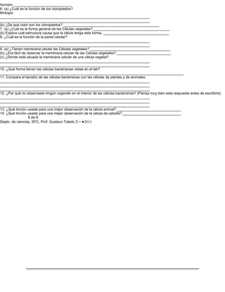 Nombre _____________________________
6. (a) ¿Cuál es la función de los cloroplastos?
Biología
___________________________________________________________________________
___________________________________________________________________________
(b) ¿De qué color son los cloroplastos? ________________________________________________
7. (a) ¿Cuál es la forma general de las Células vegetales? ______________________________________
(b) Explica cuál estructura causa que la célula tenga esta forma. _________________________________
8. ¿Cuál es la función de la pared celular?
___________________________________________________________________________
___________________________________________________________________________
9. (a) ¿Tienen membrana celular las Células vegetales? ________________________________________
(b) ¿Era fácil de observar la membrana celular de las Células vegetales? ___________________________
(c) ¿Dónde está situada la membrana celular de una célula vegetal?
___________________________________________________________________________
___________________________________________________________________________
10. ¿Qué forma tienen las células bacterianas vistas en el lab?
____________________________________________________________________________________________
11. Compara el tamaño de las células bacterianas con las células de plantas y de animales.
___________________________________________________________________________
___________________________________________________________________________
___________________________________________________________________________
12. ¿Por qué no observaste ningún organelo en el interior de las células bacterianas? (Piensa muy bien esta respuesta antes de escribirla)
___________________________________________________________________________
___________________________________________________________________________
___________________________________________________________________________
13. ¿Qué tinción usaste para una mejor observación de la célula animal? ________________________________
14. ¿Qué tinción usaste para una mejor observación de la célula de cebolla? _____________________________
                   6 de 8
Depto. de ciencias, SFC. Prof. Gustavo Toledo C • ♥2013
 