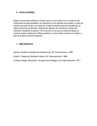 6. CONCLUSIONES



Según lo observado podemos concluir que si a una célula viva, en lugar de ser
introducida en agua destilada, se introduce en una solución que posee un valor de
presión osmótica mayor a la dada por el plasma celular (solución hipotónica), la
célula disminuye de tamaño, adquiriendo aspecto de mórula por el paso del
solvente intracelular al exterior. Si la solución en la que se coloca la célula no
provoca ningún cambio por el flujo osmótico, ya sea interior exterior a la célula, a
esto se le llama solución isotónica.



   7. BIBLIOGRAFIA



Astrand. Rodhal. Fisiología del trabajo físico. Ed. Panamericana. 1986.

Guyton. Tratado de fisiología médica. Ed. Interamericana. 1988.

Jiménez Vargas. Macarulla. Fisicoquímica fisiológica. Ed. Interamericana. 1971.
 