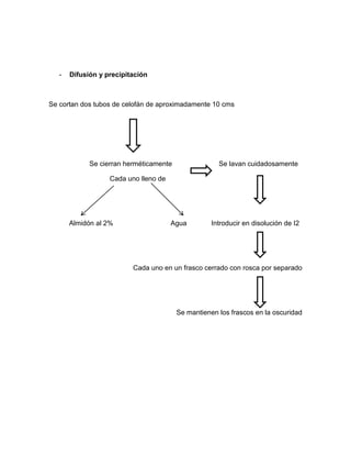 -   Difusión y precipitación



Se cortan dos tubos de celofán de aproximadamente 10 cms




             Se cierran herméticamente                Se lavan cuidadosamente

                   Cada uno lleno de




       Almidón al 2%                   Agua         Introducir en disolución de I2




                          Cada uno en un frasco cerrado con rosca por separado




                                         Se mantienen los frascos en la oscuridad
 
