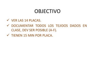 OBJECTIVO
 VER LAS 14 PLACAS.
 DOCUMENTAR TODOS LOS TEJIDOS DADOS EN
CLASE, DEV SER POSIBLE (A-F).
 TIENEN 15 MIN POR PLACA.
 
