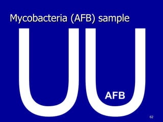 Lab diag. tb | PPT