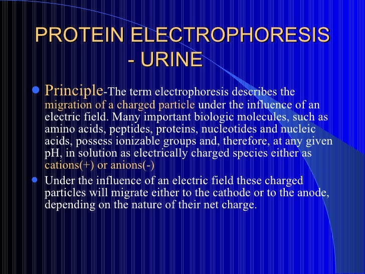 Lab diag nephrotic synd 2003