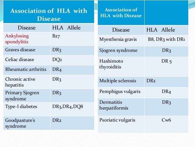 Hla Disease Association Chart