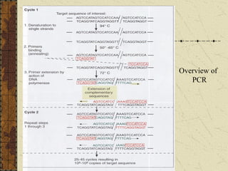 Lab diagnosis of infectious disease | PDF