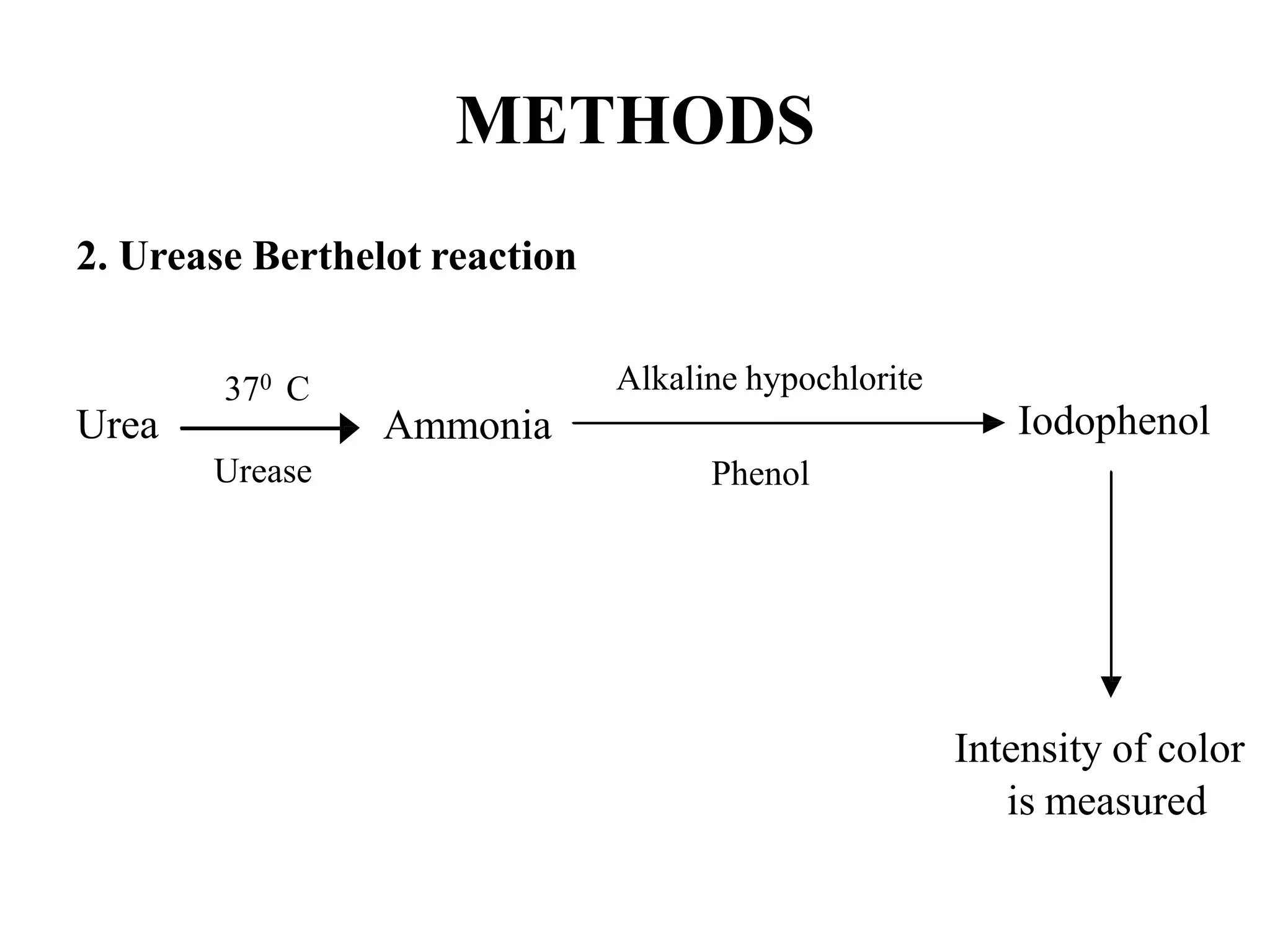 METHODS
2. Urease Berthelot reaction
Iodophenol
Intensity of color
is measured
Urea
370 C
Urease
Ammonia
Alkaline hypochlorite
Phenol
 