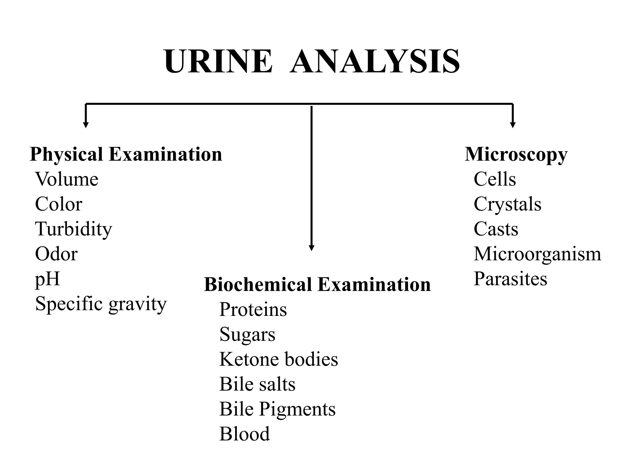 URINE ANALYSIS
Physical Examination
Volume
Color
Turbidity
Odor
pH
Specific gravity
Biochemical Examination
Proteins
Sugars
Ketone bodies
Bile salts
Bile Pigments
Blood
Microscopy
Cells
Crystals
Casts
Microorganism
Parasites
 