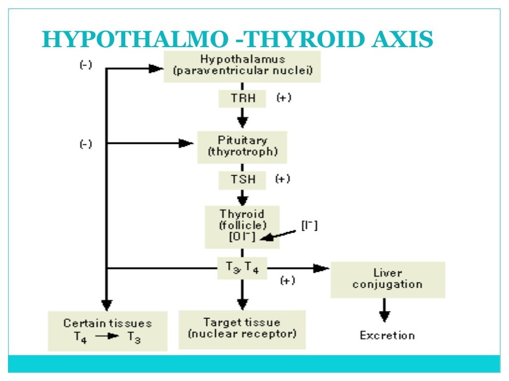 Lab diagnosis of pituitary tumors