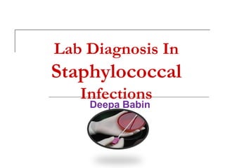 Lab Diagnosis In
Staphylococcal
   Infections
    Deepa Babin
 
