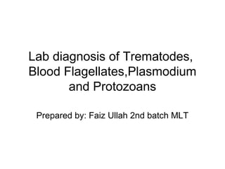 Lab diagnosis of Trematodes,
Blood Flagellates,Plasmodium
and Protozoans
Prepared by: Faiz Ullah 2nd batch MLT
 