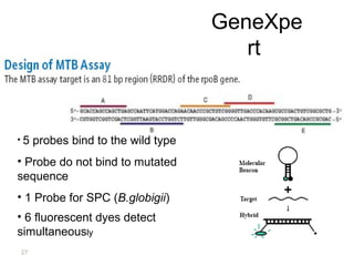 Lab Genetics Tuberculosis laboratory diagnosis of tuberculosis 2022 | PPT