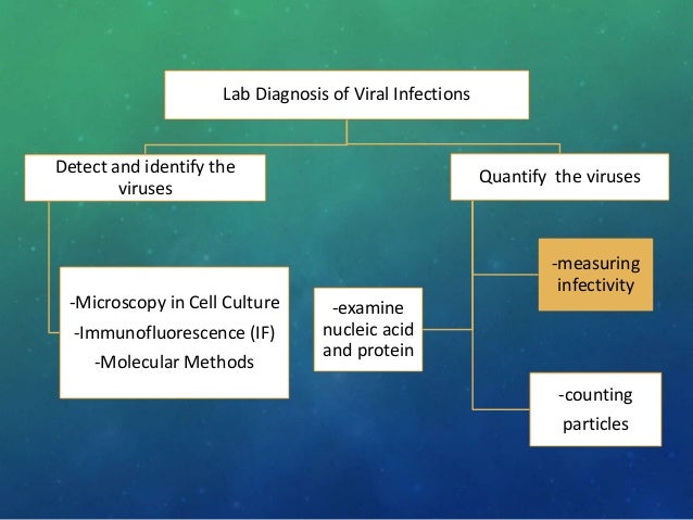 Lab diagnosis of viral infection
