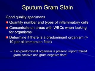 Sputum Gram Stain
Good quality specimens
Quantify number and types of inflammatory cells
Concentrate on areas with WBCs when looking
for organisms
Determine if there is a predominant organism (>
10 per oil immersion field)
– If no predominant organism is present, report “mixed
gram positive and gram negative flora”
 