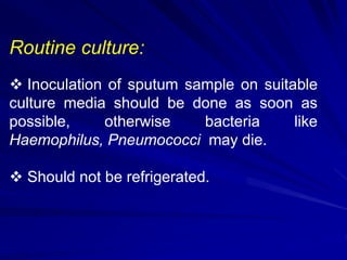 Routine culture:
 Inoculation of sputum sample on suitable
culture media should be done as soon as
possible, otherwise bacteria like
Haemophilus, Pneumococci may die.
 Should not be refrigerated.
 
