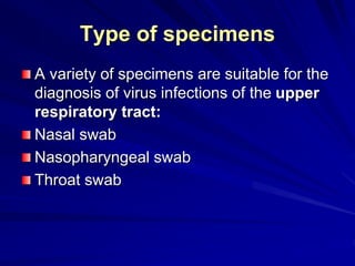 Type of specimens
A variety of specimens are suitable for the
diagnosis of virus infections of the upper
respiratory tract:
Nasal swab
Nasopharyngeal swab
Throat swab
 