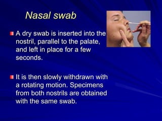 Nasal swab
A dry swab is inserted into the
nostril, parallel to the palate,
and left in place for a few
seconds.
It is then slowly withdrawn with
a rotating motion. Specimens
from both nostrils are obtained
with the same swab.
 