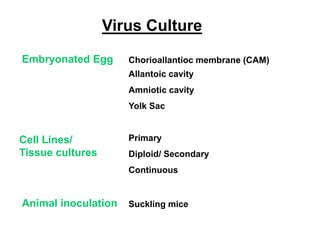 Embryonated Egg
Cell Lines/
Tissue cultures
Animal inoculation
Chorioallantioc membrane (CAM)
Allantoic cavity
Amniotic cavity
Yolk Sac
Primary
Diploid/ Secondary
Continuous
Suckling mice
Virus Culture
 