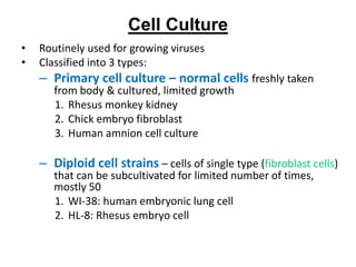 Cell Culture
• Routinely used for growing viruses
• Classified into 3 types:
– Primary cell culture – normal cells freshly taken
from body & cultured, limited growth
1. Rhesus monkey kidney
2. Chick embryo fibroblast
3. Human amnion cell culture
– Diploid cell strains – cells of single type (fibroblast cells)
that can be subcultivated for limited number of times,
mostly 50
1. WI-38: human embryonic lung cell
2. HL-8: Rhesus embryo cell
 