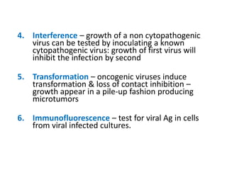 4. Interference – growth of a non cytopathogenic
virus can be tested by inoculating a known
cytopathogenic virus: growth of first virus will
inhibit the infection by second
5. Transformation – oncogenic viruses induce
transformation & loss of contact inhibition –
growth appear in a pile-up fashion producing
microtumors
6. Immunofluorescence – test for viral Ag in cells
from viral infected cultures.
 
