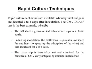 Rapid Culture Techniques
Rapid culture techniques are available whereby viral antigens
are detected 2 to 4 days after inoculation. The CMV DEAFF
test is the best example, whereby
• The cell sheet is grown on individual cover slips in a plastic
bottle.
• Following inoculation, the bottle then is spun at a low speed
for one hour (to speed up the adsorption of the virus) and
then incubated for 2 to 4 days.
• The cover slip is then taken out and examined for the
presence of CMV early antigens by immunofluorescence.
 