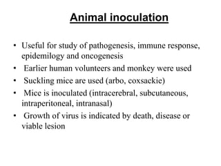 Animal inoculation
• Useful for study of pathogenesis, immune response,
epidemilogy and oncogenesis
• Earlier human volunteers and monkey were used
• Suckling mice are used (arbo, coxsackie)
• Mice is inoculated (intracerebral, subcutaneous,
intraperitoneal, intranasal)
• Growth of virus is indicated by death, disease or
viable lesion
 