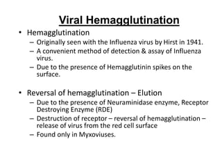 Viral Hemagglutination
• Hemagglutination
– Originally seen with the Influenza virus by Hirst in 1941.
– A convenient method of detection & assay of Influenza
virus.
– Due to the presence of Hemagglutinin spikes on the
surface.
• Reversal of hemagglutination – Elution
– Due to the presence of Neuraminidase enzyme, Receptor
Destroying Enzyme (RDE)
– Destruction of receptor – reversal of hemagglutination –
release of virus from the red cell surface
– Found only in Myxoviuses.
 
