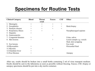 Specimens for Routine Tests
Clinical Category Blood Throat
swab
Faeces CSF Other
1. Meningitis + + + +
2. Encephalitis + + + + Brain biopsy
3. Paralytic disease + + + +
4. Respiratory illness + + Nasopharyngeal aspirate
5. Hepatitis +
6. Gastroenteritis +
7. Congenital diseases + Urine, saliva
8. Skin lesions + + Lesion sample e.g. vesicle
fluid, skin scrapping
9. Eye lesions Eye swab
10.Myocarditis + Pericardial fluid
11.Myositis + +
12.Glandular fever +
13.Post Mortem + Autopsy
After use, swabs should be broken into a small bottle containing 2 ml of virus transport medium.
Swabs should be sent to the laboratory as soon as possible without freezing. Faeces, CSF, biopsy or
autopsy specimens should be put into a dry sterile container.
 