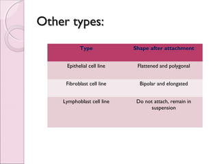 Laboratory diagnosis of viral infection | PPT