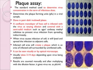 Laboratory diagnosis of viral infection | PPT